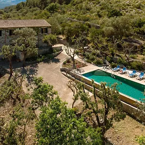 Muscarolas By 360 Villa Pollenca